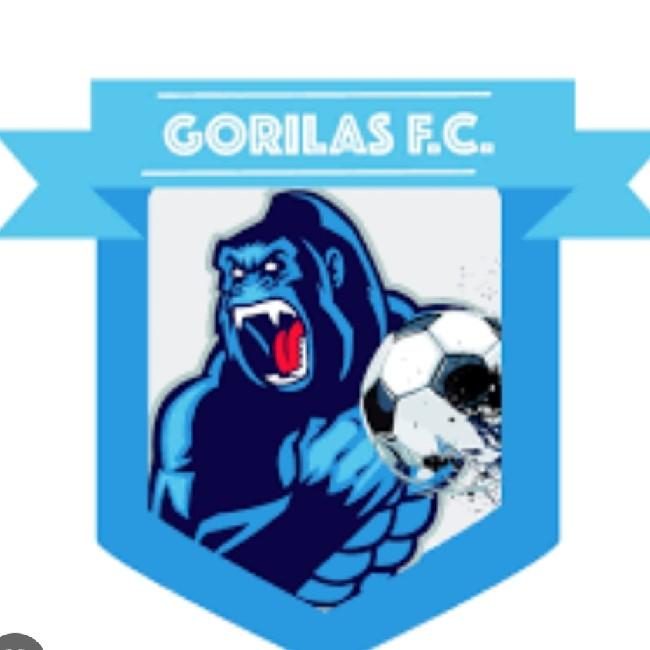 Los gorilas del zoo