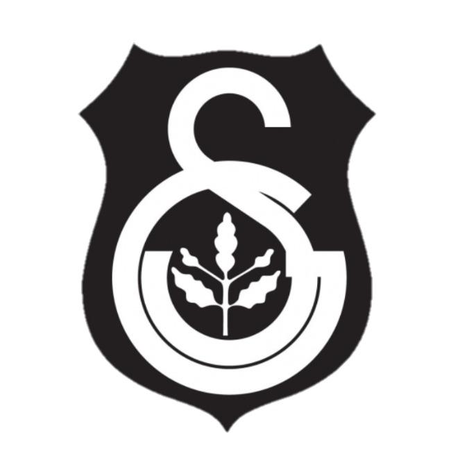 Istanbul United