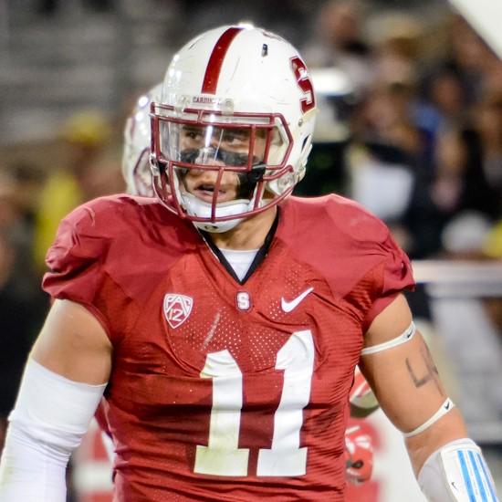 shayne skov