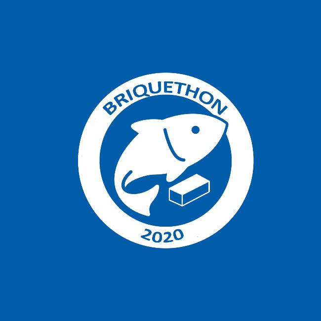 Briquethon FC