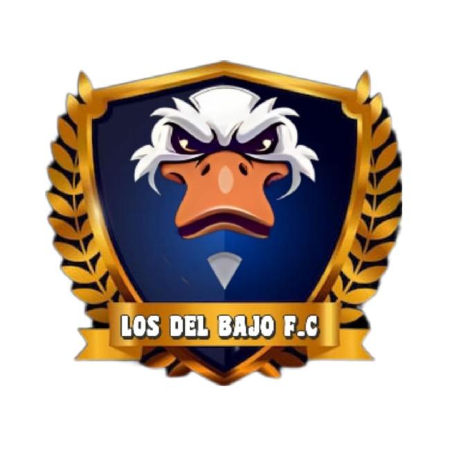 LOS DEL BAJO F.C