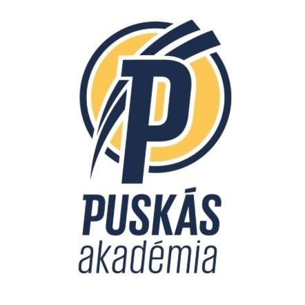 Puskás Akadémia FC