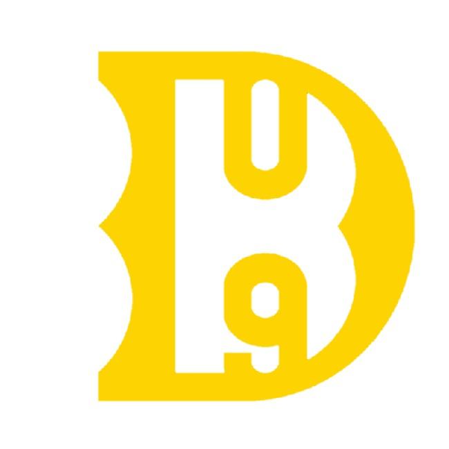 Dinamo dom Boraca