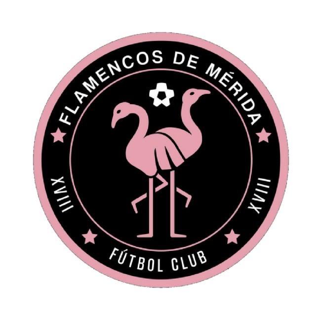 Club Esport Flamencos De Merida