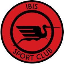 Ibis