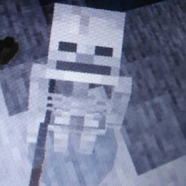 Squelette