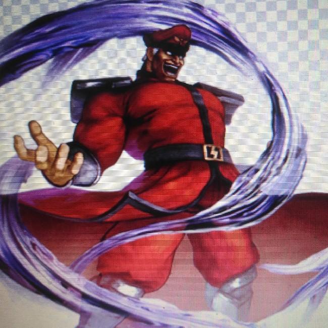 M. Bison