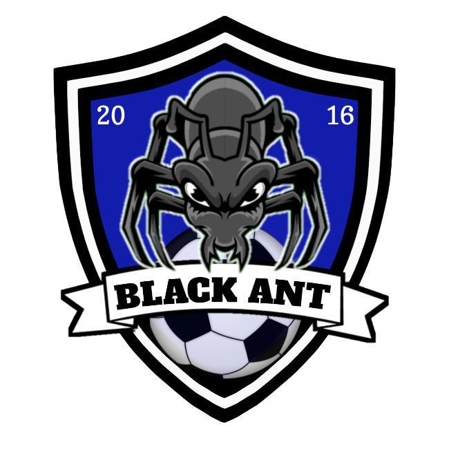 Black Ant TEFC