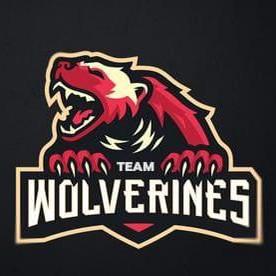 TEAM WOLVERINES