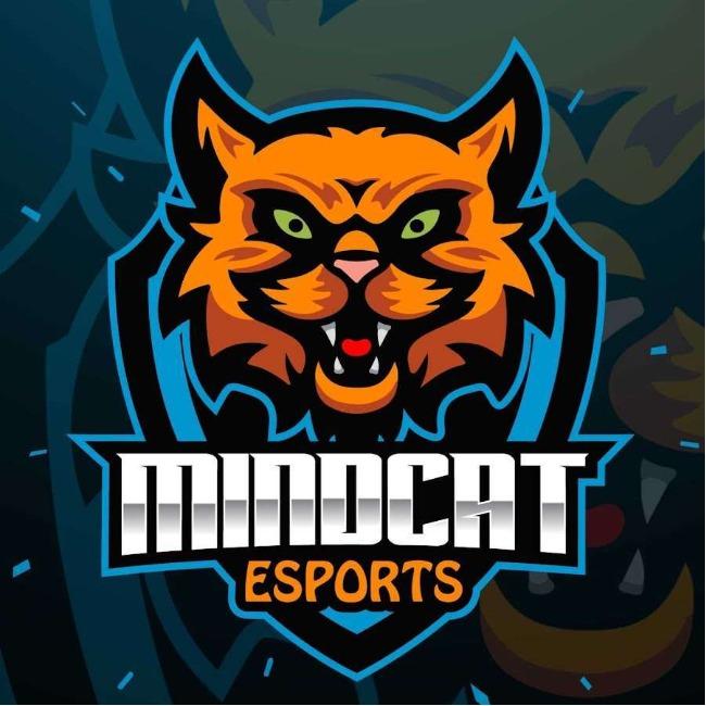 Mindcat Esports