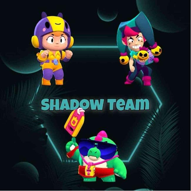 Shadow Team