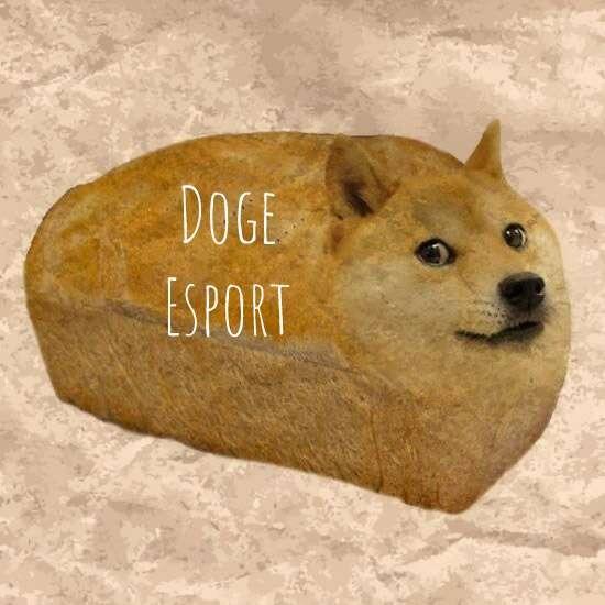 Doge Esports