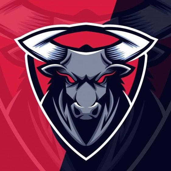 RED BULLS F.C
