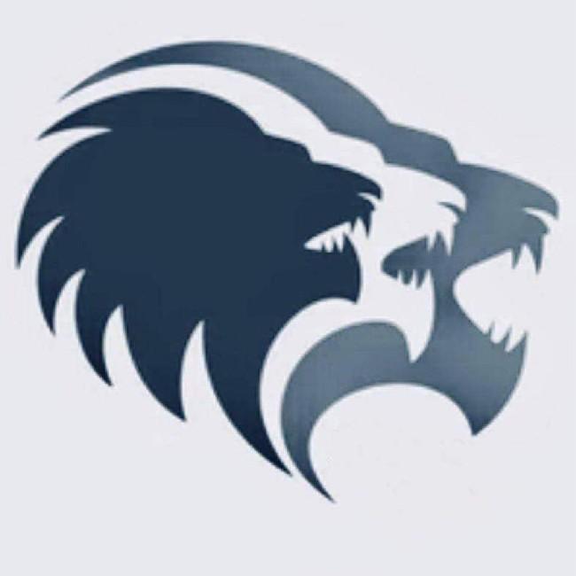 LIONS - Paul Roberts