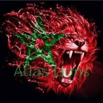 ATLAS LIONS - Moh Med