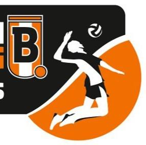 BERLIN RECYCLING VOLLEYs (GER)