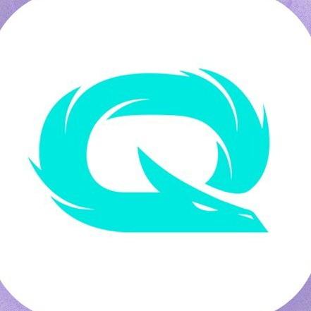 Qlash