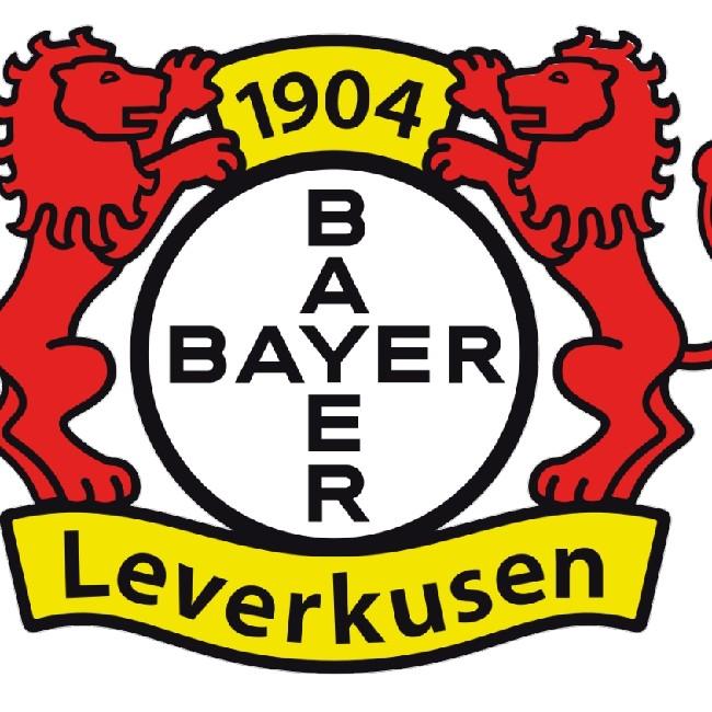 Levewrkuzem