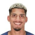R. Araujo