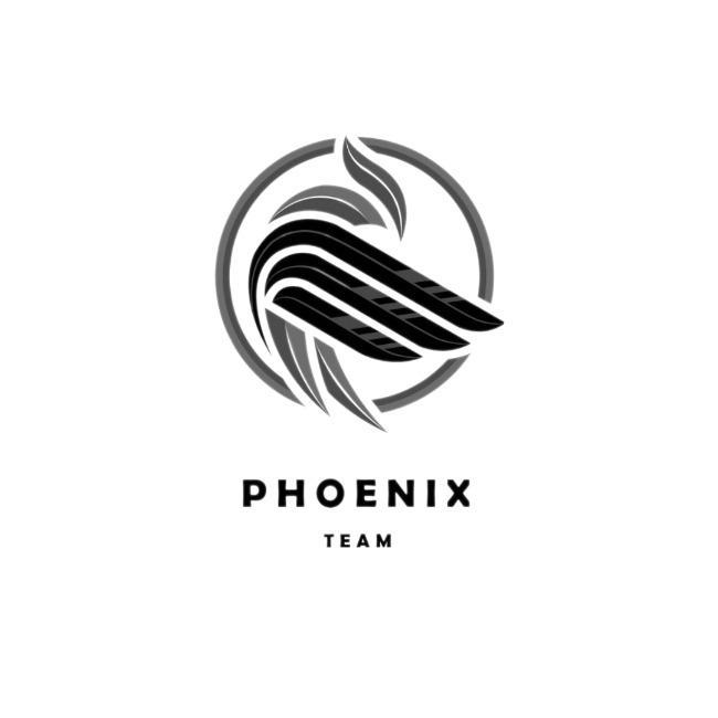 Team Phoenix