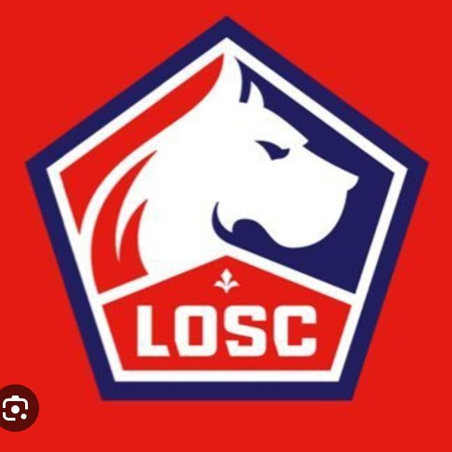 LOSC Lillie (Lig 1)