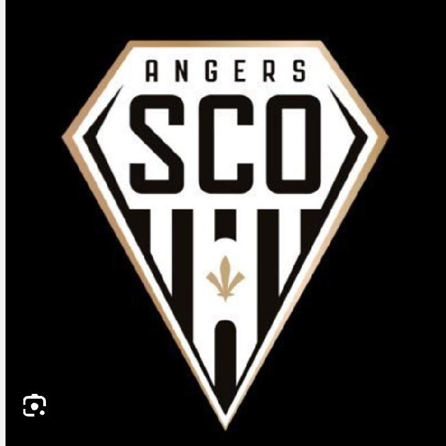 Angers SCO (Lig 1)