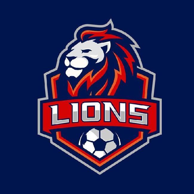 Mr. Lions FC