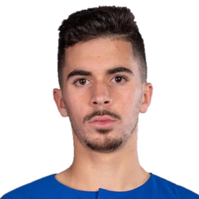 V. Ferreira