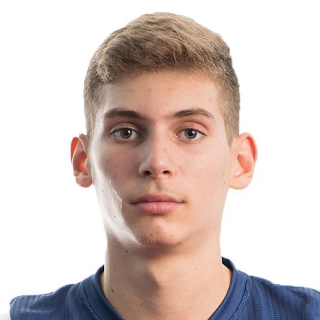 Roko Prkačin