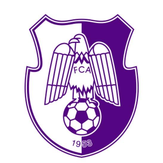 FC Arges Pitesti