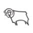 Derby couty