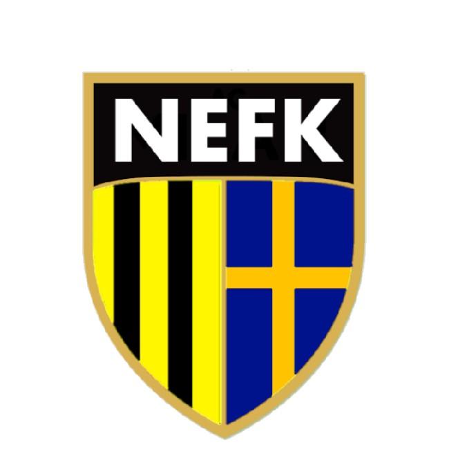 Nova Estocolmo FK