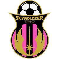 SKYWOLKEER TEAM