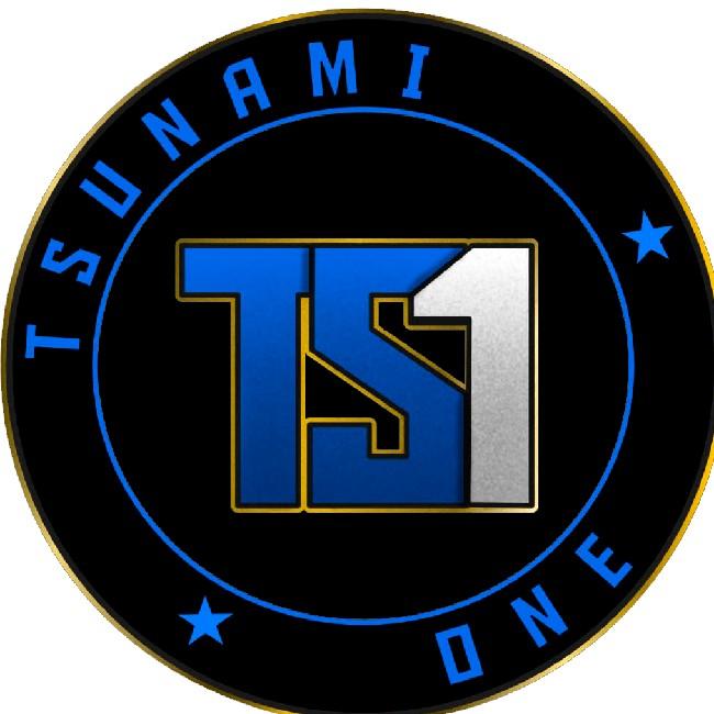 TSUNAMI ONE / TS1