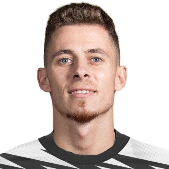 Бернар Венсан