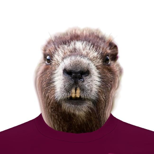 Бобр Бобриков