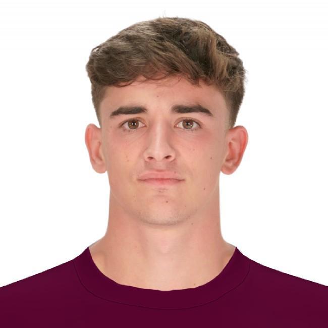 Вазел Гардехт