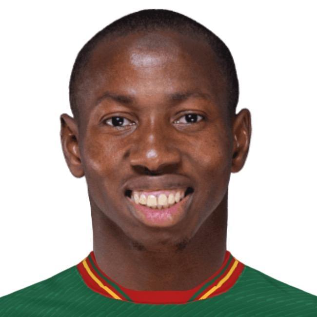 Мамангеску Тампон