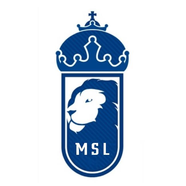 MSl S13