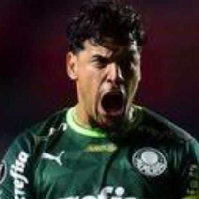 Gustavo gomez