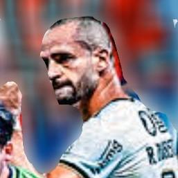Renato augusto