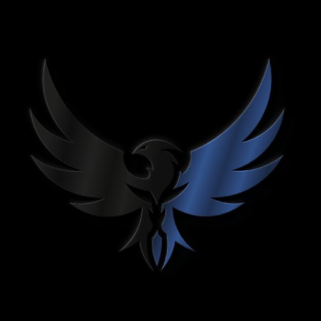 PHOENIX ESPORTS/PX