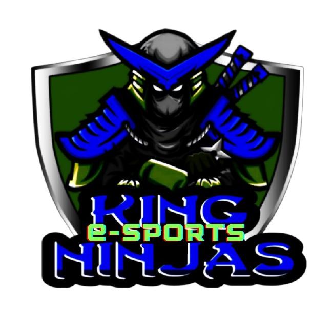 KING NINJA E-SPORTS ALPHA KNea