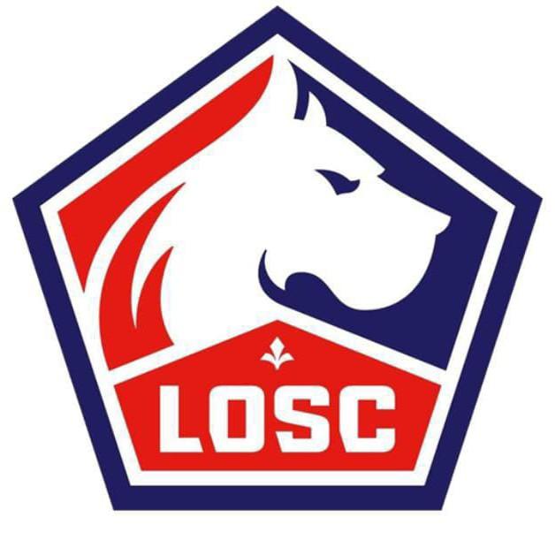 Lille losc