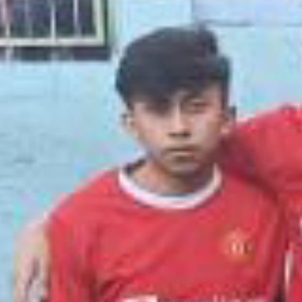 BRANDON NICOLAS LINO
