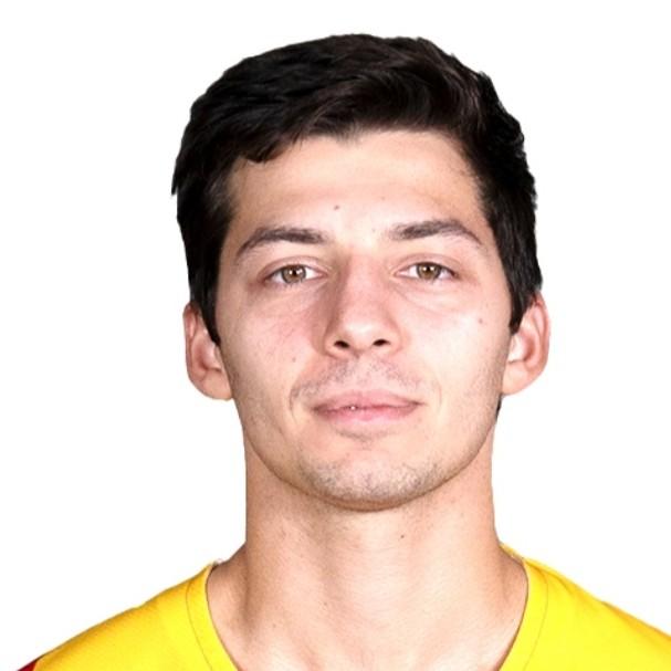 Николай Гиоргобиани