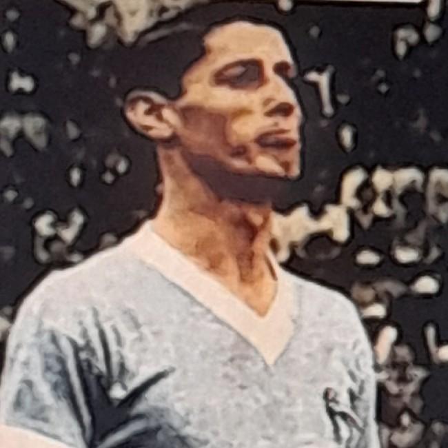 Schiaffino