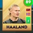 Haaland
