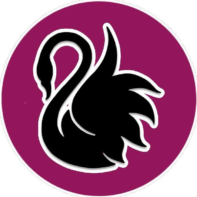 Swansea United
