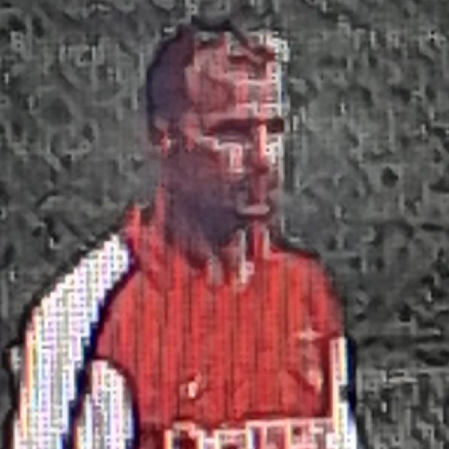 Bergkamp
